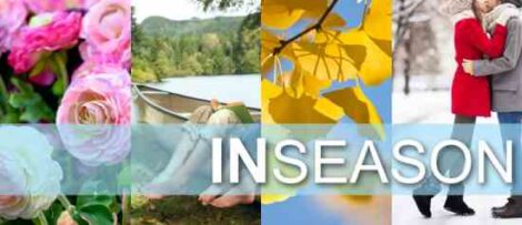Guide to Seasonal Living Image
